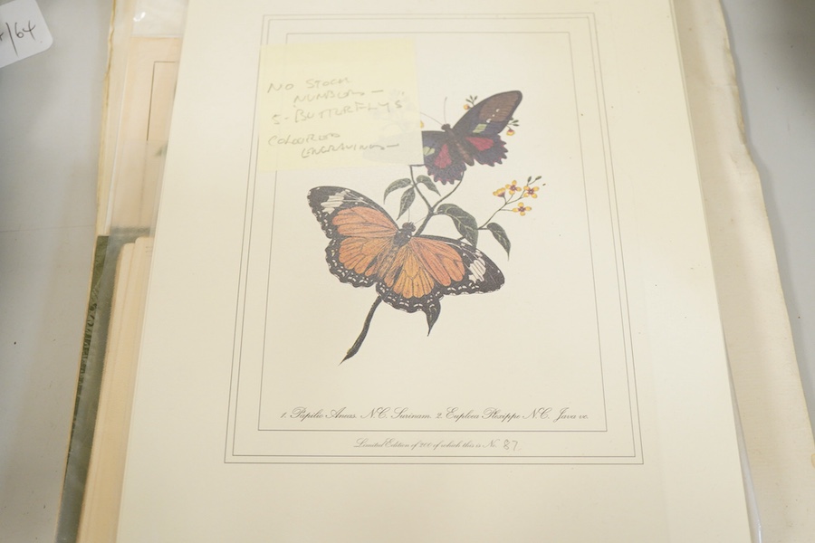 A collection of 18th / 19th century and later botanical and natural history interest prints and engravings to include four engravings of fish, published F P Nodder, 1799 / 1800, an extensive set of beetles and three 19th